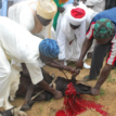 Sallah: Slaughter, process meat in hygienic place to avoid spread of diseases – Commissioner