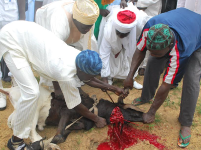 Sallah: Slaughter, process meat in hygienic place to avoid spread of diseases – Commissioner