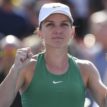 Halep basks in WTA rankings lead glory