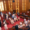 Senate suspends plenary for two weeks to probe implementation of budget, 2.7m Eurobond