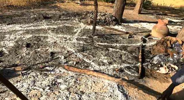 Boko Haram attack Borno, set imam, family members, others ablaze