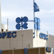Energy Chamber urges OPEC members to cut production