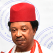 Shehu Sani calls for cancellation of NASS polls in Kaduna