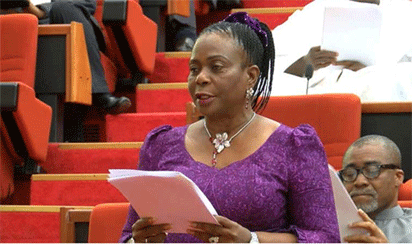 sen Olujimi Don’t blame NASS for Budget delay – Olujimi to Executive