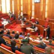 Senate Passes Police Reform Bill, approved a single five-year tenure for IGP