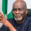 ENEMIES OF PROGRESS! Amnesty Programme project worth billions of Naira looted, destroyed 24 hours to inauguration —Dokubo, Coordinator