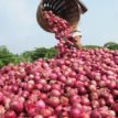 Hike in onion prices unexplainable — FCT residents lament