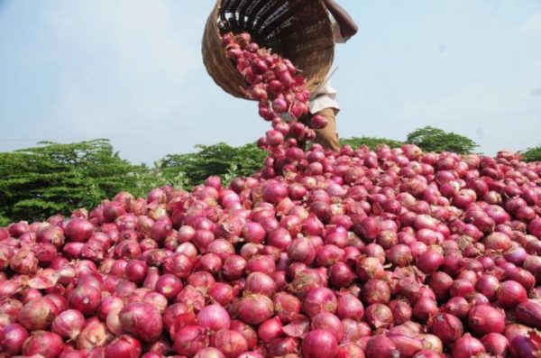 Hike in onion prices unexplainable — FCT residents lament