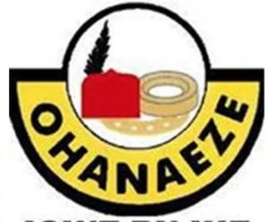 Ohanaeze will get to the root of Enugu killings ― Nwodo