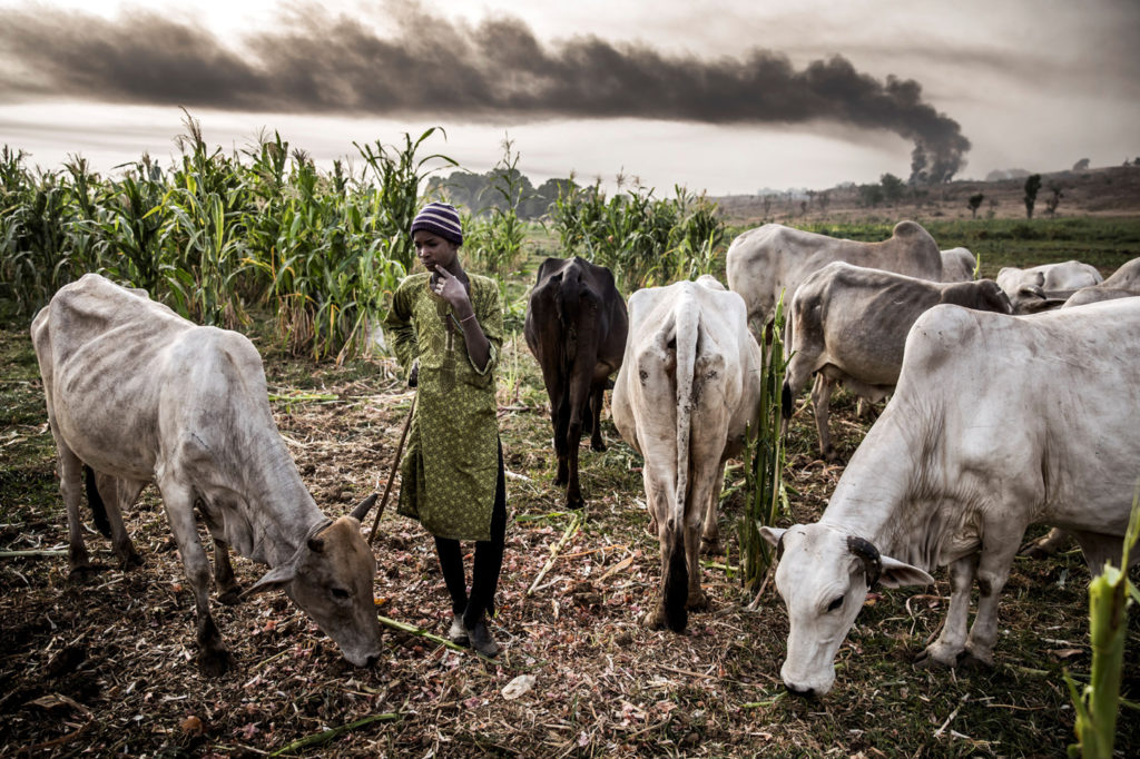 Bayelsa women-farmers decry damage, threat by herders