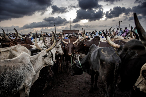 RUGA