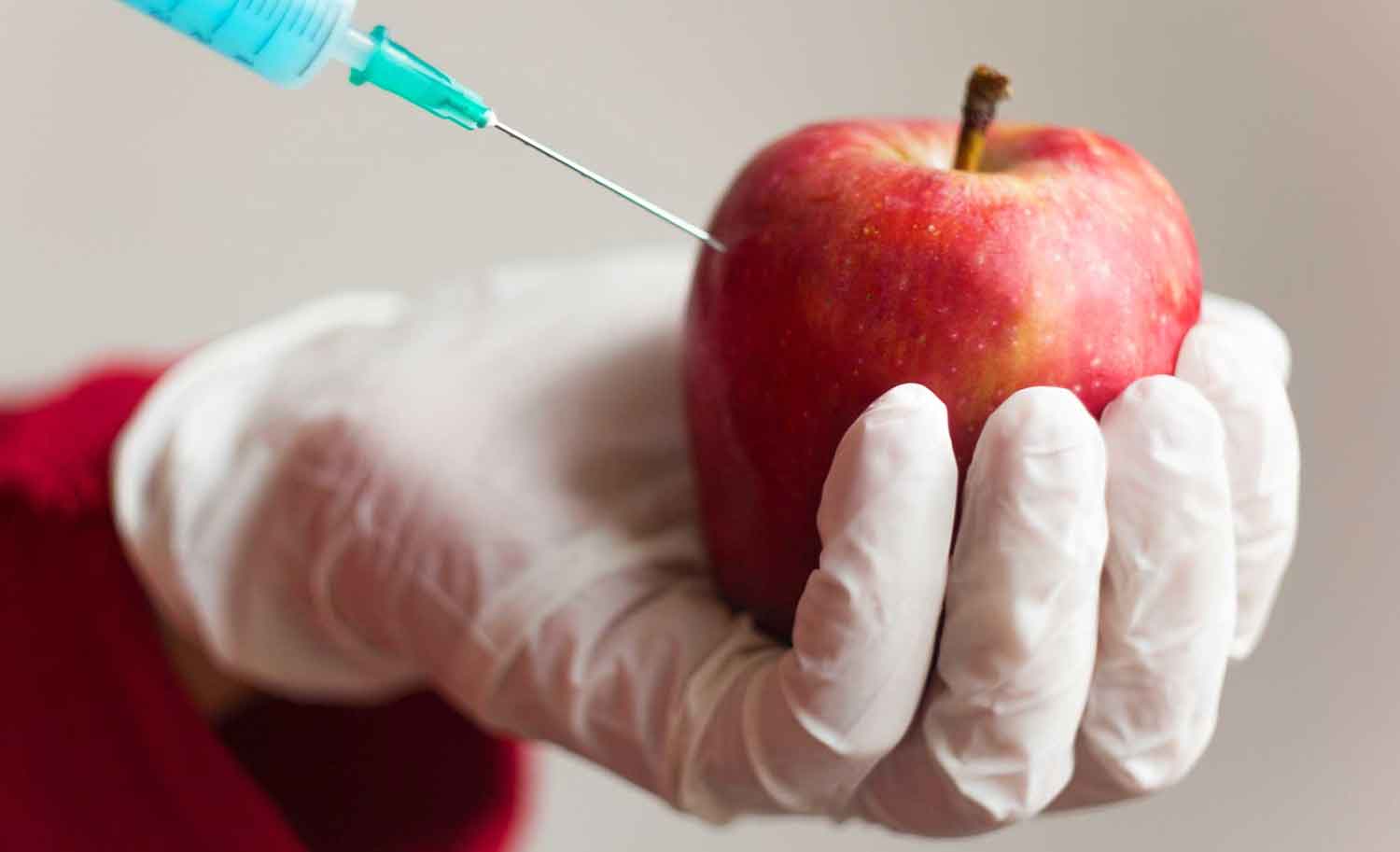 GMO ALARM: Dangers, benefits of genetically modified foods