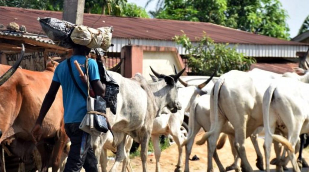 Reps move to block entry of foreign herdsmen into Nigeria