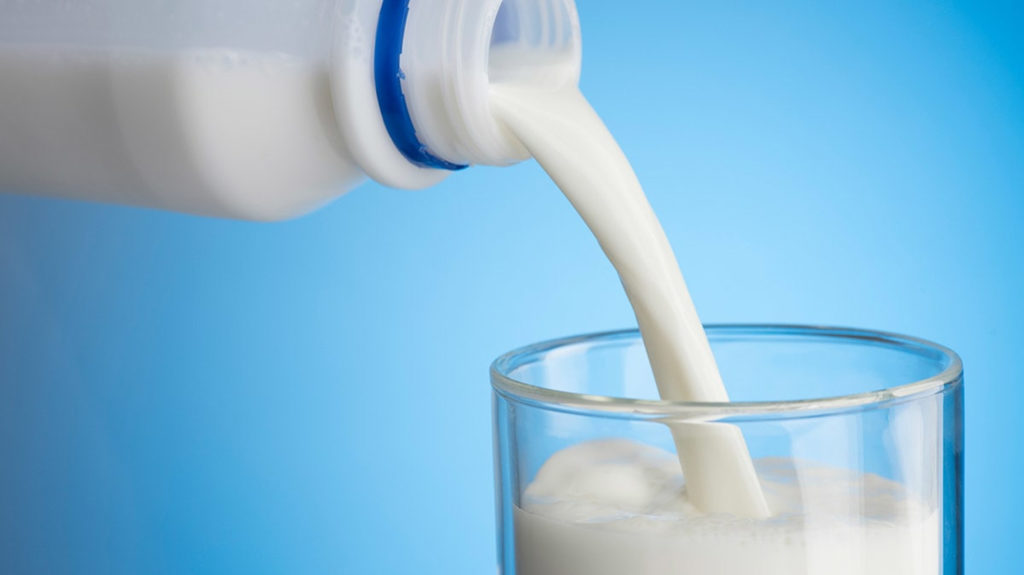 Hollandia Lactose free milk