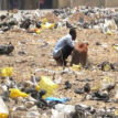 Open defecation: Nigeria loses $3bn annually to poor sanitation — Senator