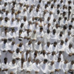 Muslims begin downsized hajj amid pandemic
