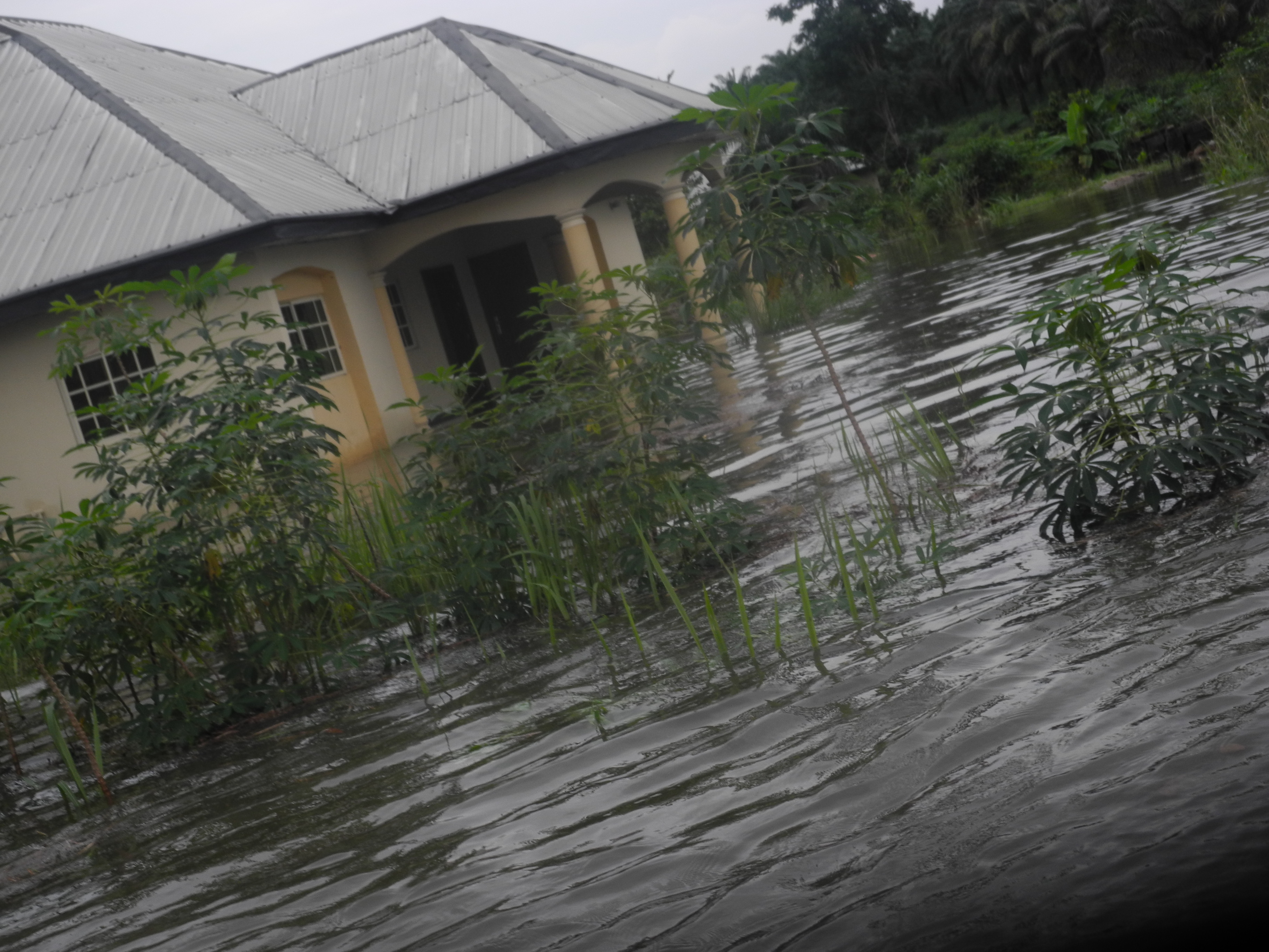 Flood, Edo