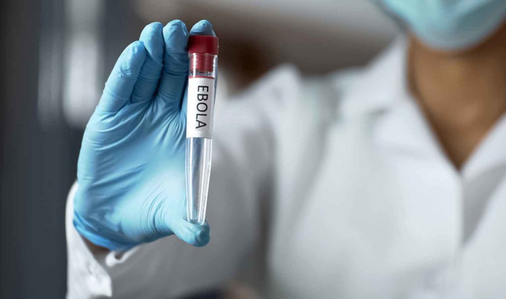 Ebola: DRC to declare outbreak over in 6 days — WHO