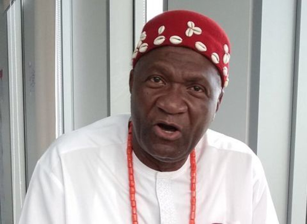 Ohanaeze 'll get to the root of Enugu killings — Nwodo
