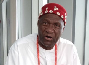 Attack against Northerners: Ohanaeze berates NEF over provocative statement