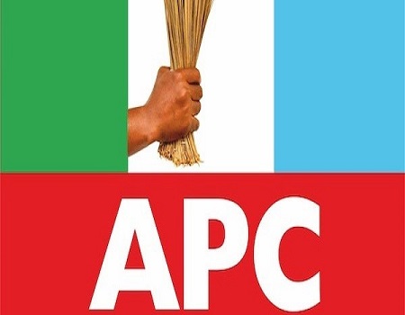 Large scale fraud uncovered in Niger APC