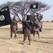 ISWAP fighters ambush convoy, kill 7 soldiers, 1 militiaman in Borno