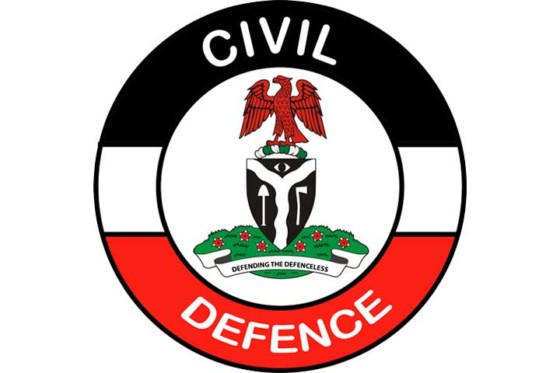 NSCDC bans display of Firearms at Public events