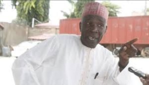 Kano Mystery Deaths: Residents bury corpses with bare hands — Galadima