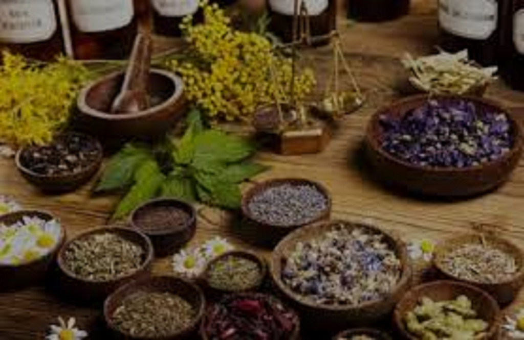 Encourage professors to research into local herbs to combat COVID-19 ― Adedoyin tells FG