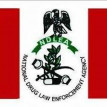 NDLEA raises concern over rising drug trafficking by sea in W/Africa