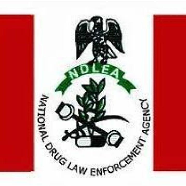 NDLEA 