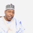 Scholarship: Zulum pays 23, 776 Borno tertiary students 624m