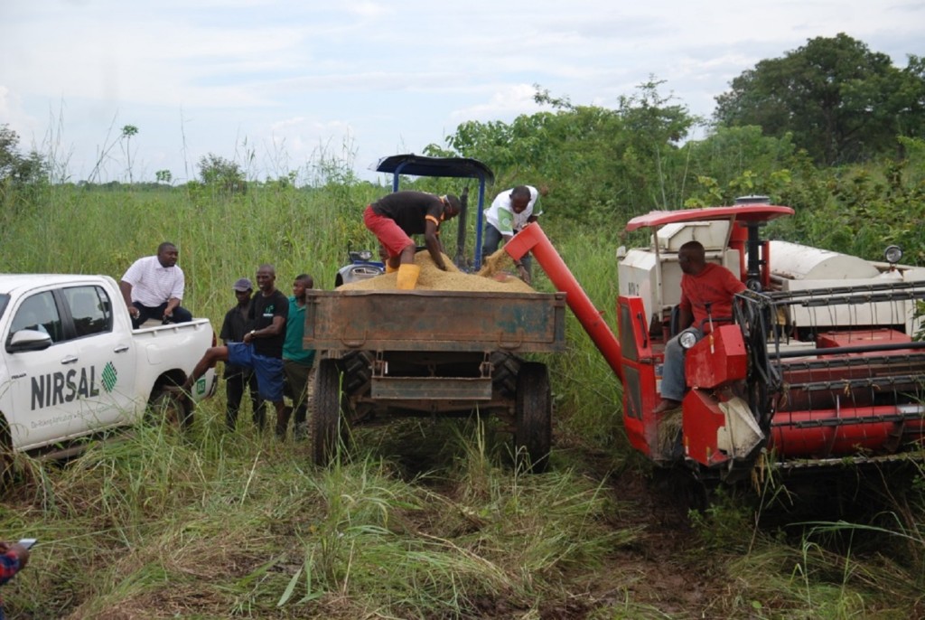 FG to empower 77,400 young farmers on agric business