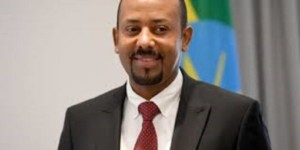 Ethiopia replaces army chief as casualties mount in Tigray region