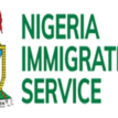 We will implement FG’s directive on travel ban — Immigration boss