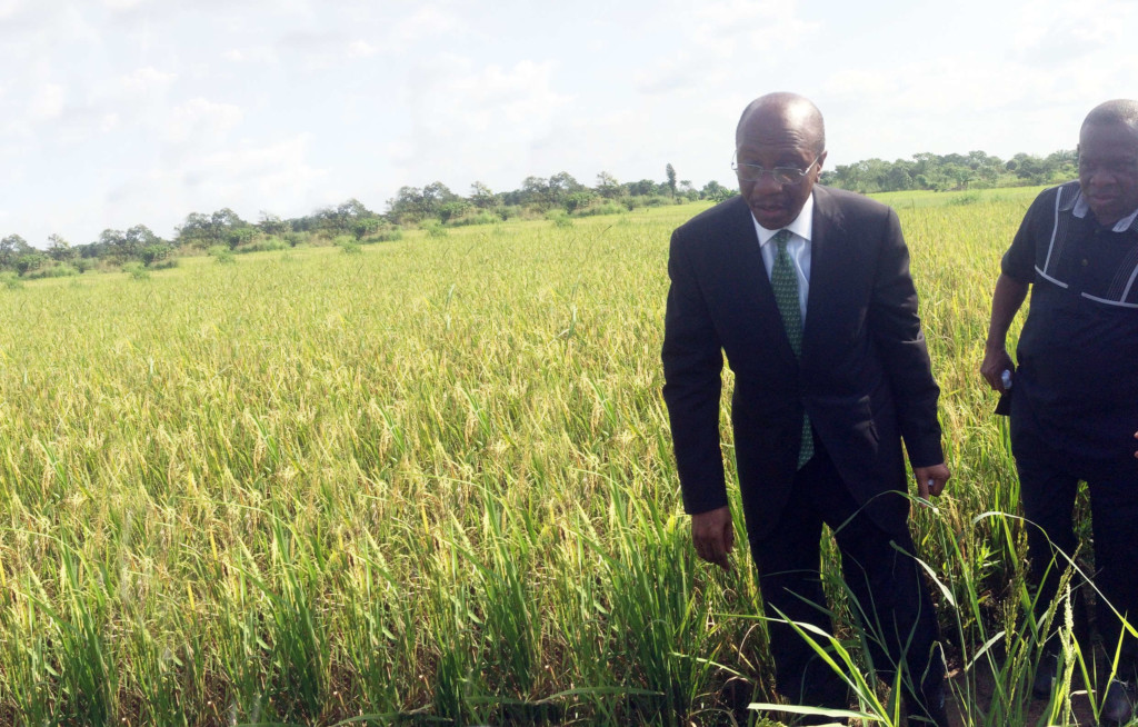 COVID-19: impact on economy becoming severe, investment in ...