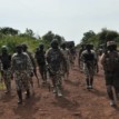 Troops eliminate bandits, arrest kidnap kingpin in Taraba, Benue