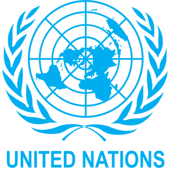 U.N.,Libya, Arms embaergo
