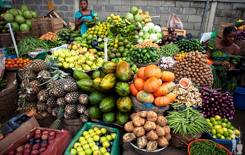 Food scarcity is source of insecurity — Scientist