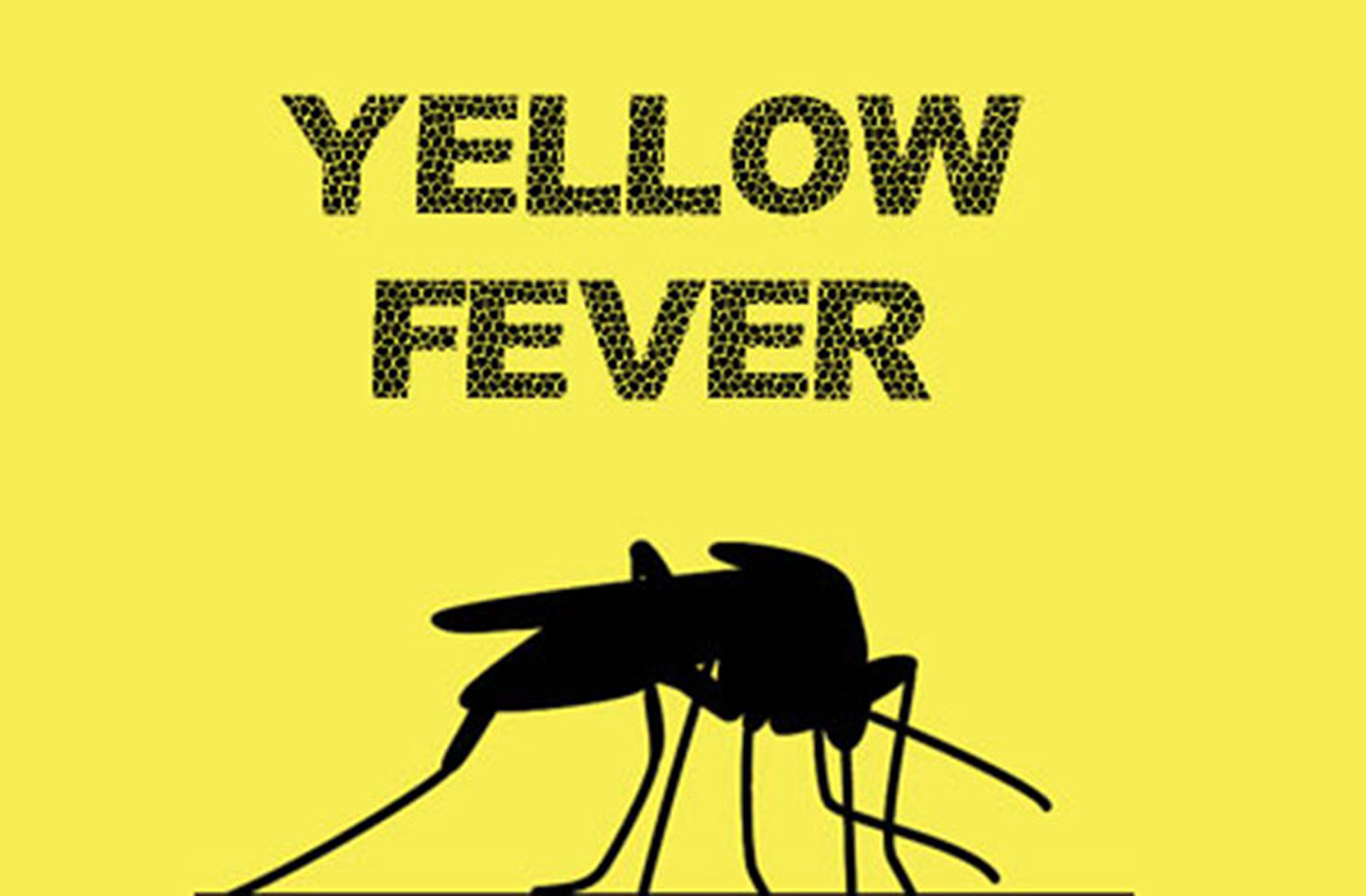 Yellow fever hits 1,558 in 8 states Vanguard News
