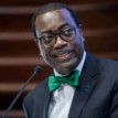 AfDB: Why US wants Adesina out – Akinterinwa, ex- NIIA DG