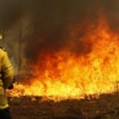 Australia state declares fire emergency after 150 homes lost