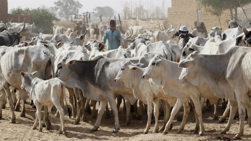 Herders' eviction order: Act now, no more delay before it degenerate - Bashir Tofa tells Buhari