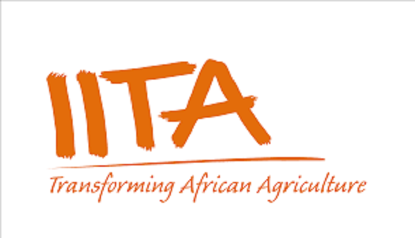 Agribusiness: IITA, NASC, NRCRI to meet farmers’ demand of over N10bn on cassava stems