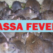 Lassa fever and other plagues: When we eat our way to death