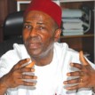 2023 Elections: We are rebuilding APC in S/East — Onu
