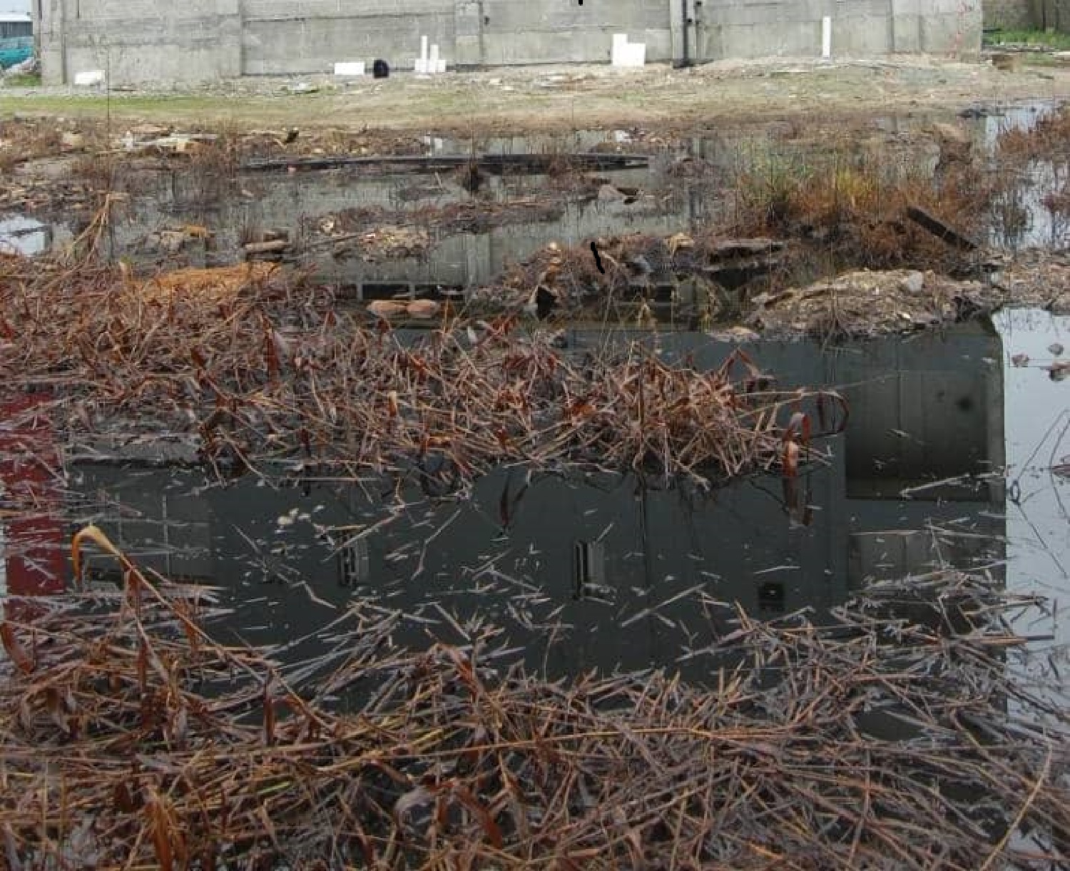 Danger Looms In Ekpan As Coy Refuses To Clean Oil Spill From Ruptured Pipeline