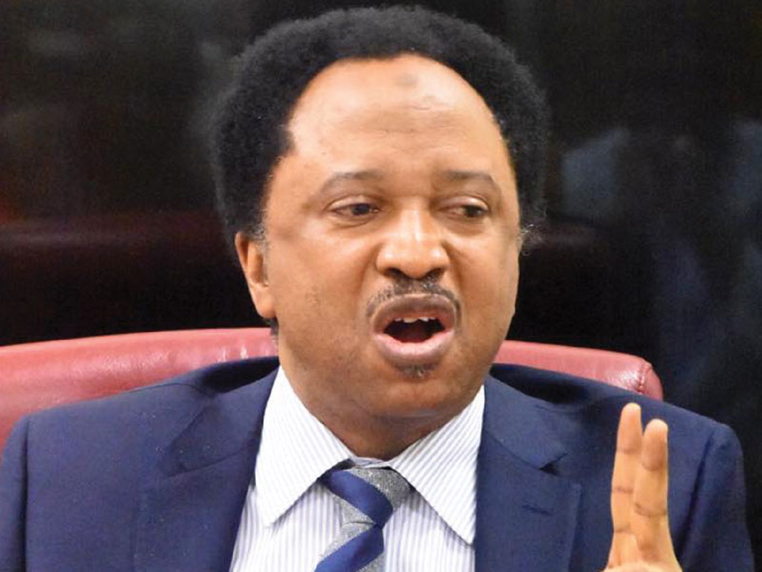 Don't be used by executive to emasculate freedom of expression, Sani to Senators