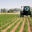 Digital agriculture, way forward for Nigeria’s agric value chain — Farmcenta