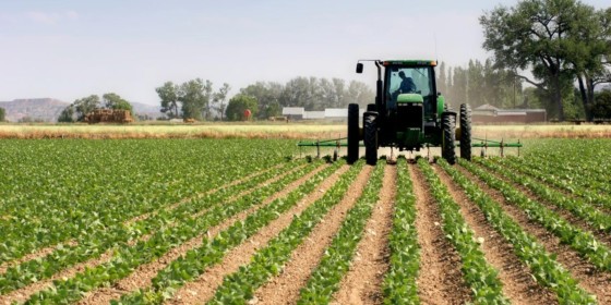 Agriculture, Kwara